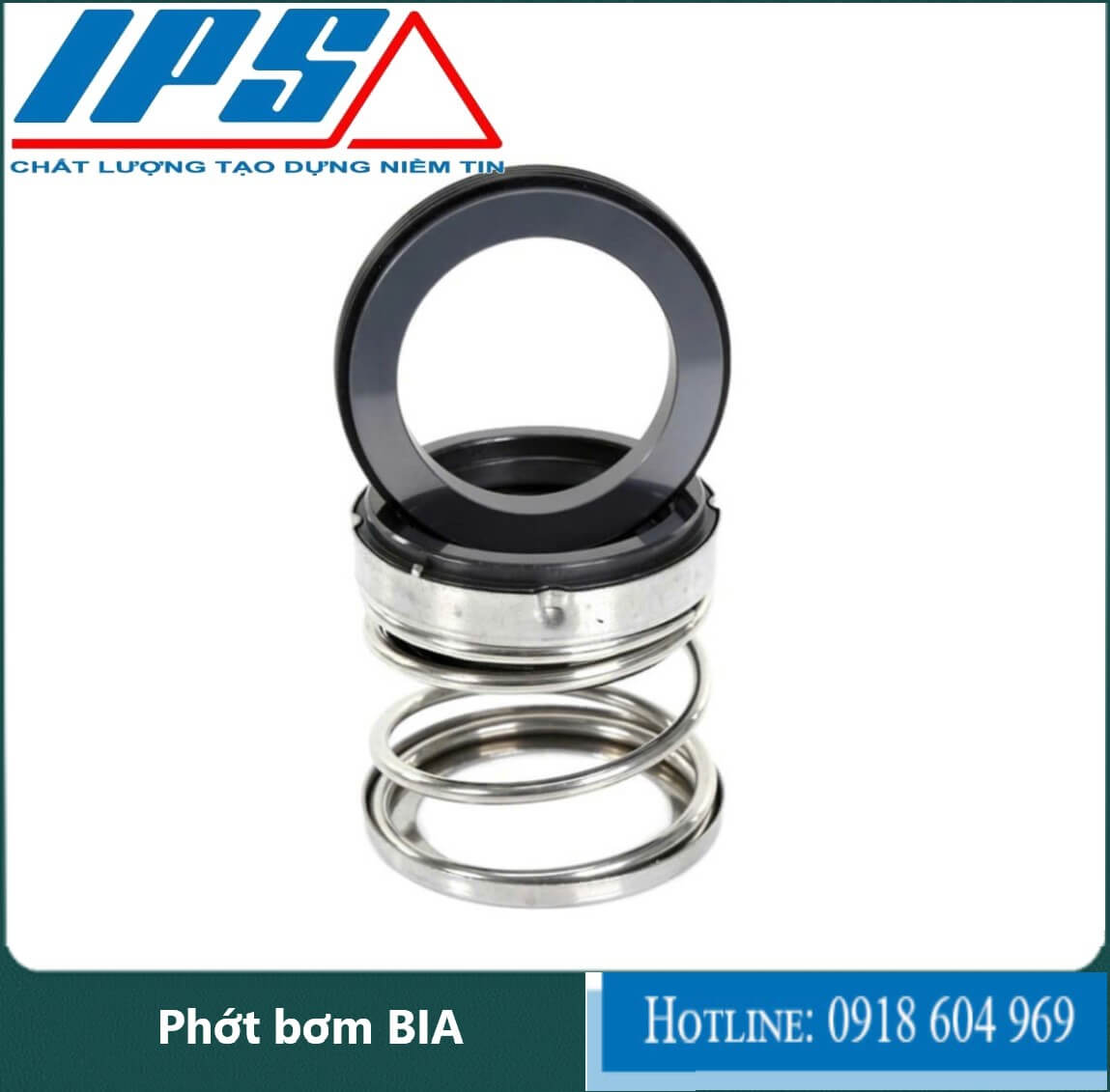 Phớt bơm BIA-13(1)